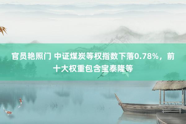 官员艳照门 中证煤炭等权指数下落0.78%，前十大权重包含宝泰隆等