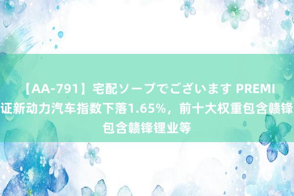 【AA-791】宅配ソープでございます PREMIUM 中证新动力汽车指数下落1.65%，前十大权重包含赣锋锂业等