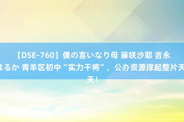 【DSE-760】僕の言いなり母 藤咲沙耶 吉永はるか 青羊区初中“实力干将”，公办资源撑起整片天！