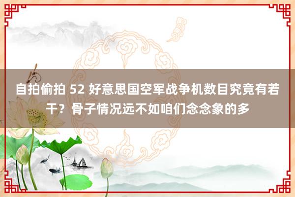 自拍偷拍 52 好意思国空军战争机数目究竟有若干？骨子情况远不如咱们念念象的多