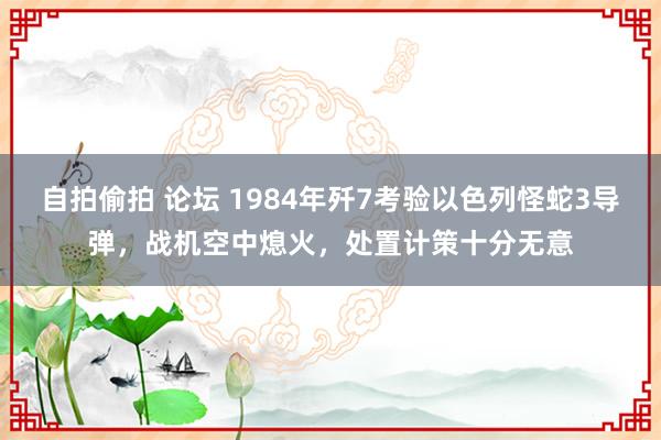 自拍偷拍 论坛 1984年歼7考验以色列怪蛇3导弹，战机空中熄火，处置计策十分无意