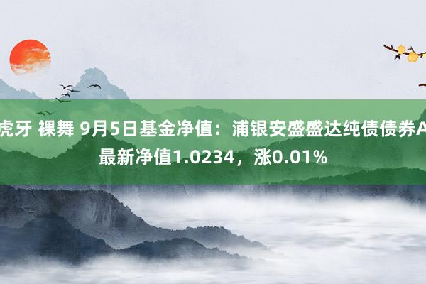 虎牙 裸舞 9月5日基金净值：浦银安盛盛达纯债债券A最新净值1.0234，涨0.01%