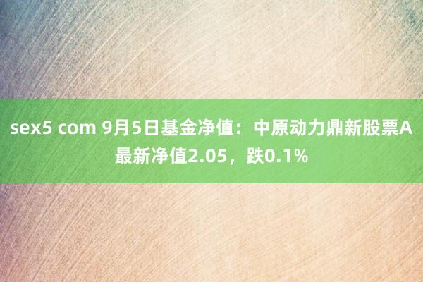 sex5 com 9月5日基金净值：中原动力鼎新股票A最新净值2.05，跌0.1%