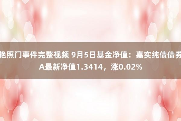 艳照门事件完整视频 9月5日基金净值：嘉实纯债债券A最新净值1.3414，涨0.02%