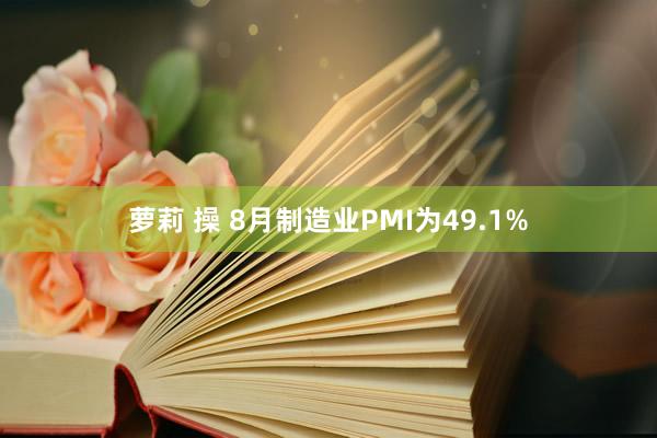 萝莉 操 8月制造业PMI为49.1%