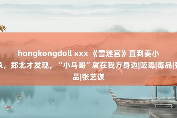 hongkongdoll xxx 《雪迷宫》直到姜小海被杀，郑北才发现，“小马哥”就在我方身边|贩毒|毒品|张艺谋