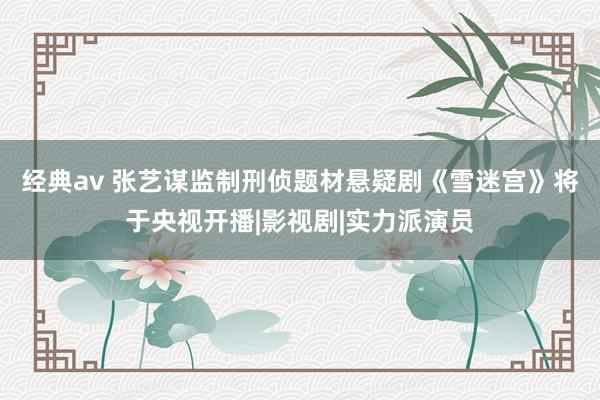 经典av 张艺谋监制刑侦题材悬疑剧《雪迷宫》将于央视开播|影视剧|实力派演员