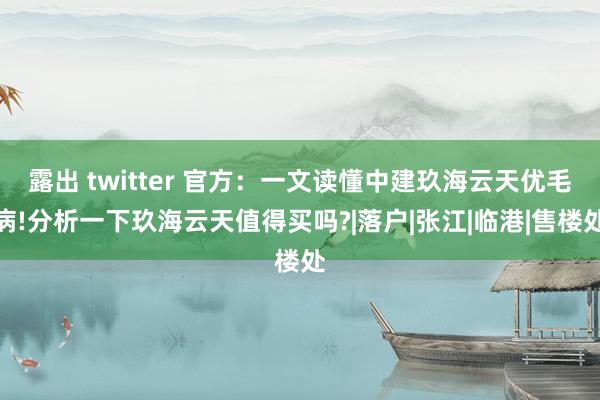 露出 twitter 官方：一文读懂中建玖海云天优毛病!分析一下玖海云天值得买吗?|落户|张江|临港|售楼处