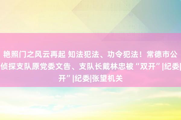 艳照门之风云再起 知法犯法、功令犯法！常德市公安局交通侦探支队原党委文告、支队长戴林忠被“双开”|纪委|张望机关